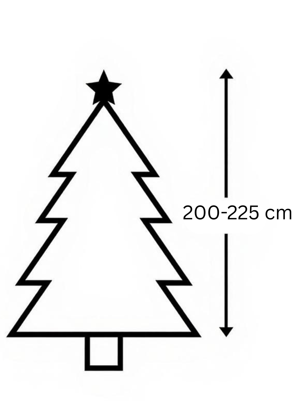 STANDARD–Jodła Kaukaska 200–225 cm